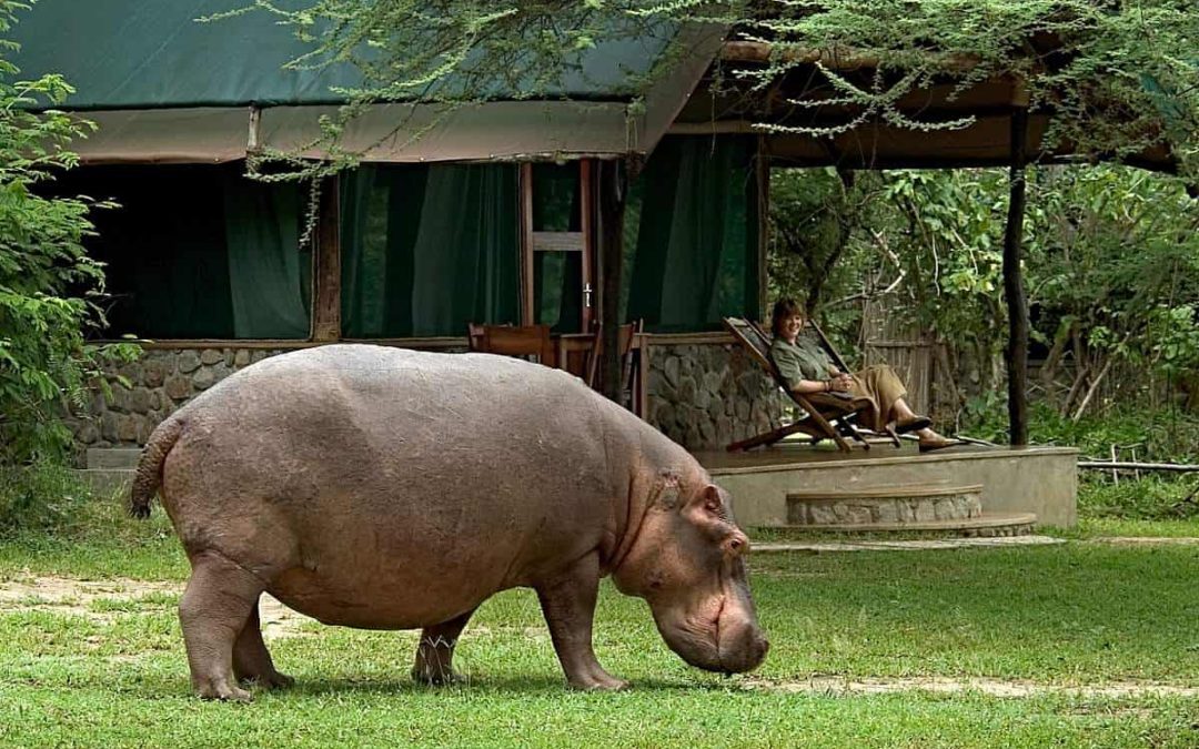 Lovely Liwonde – Malawi&rsquo;s wildlife treasure