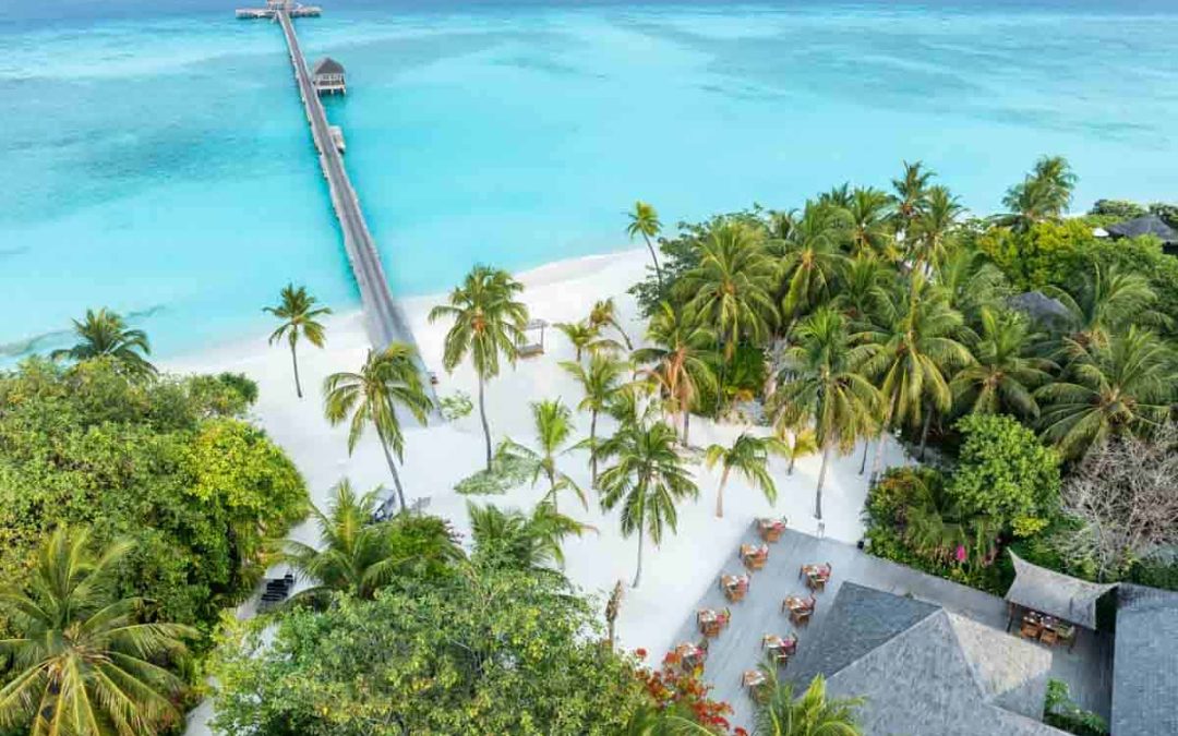 Vegan Maldives is really a thing and you&rsquo;re going to love it