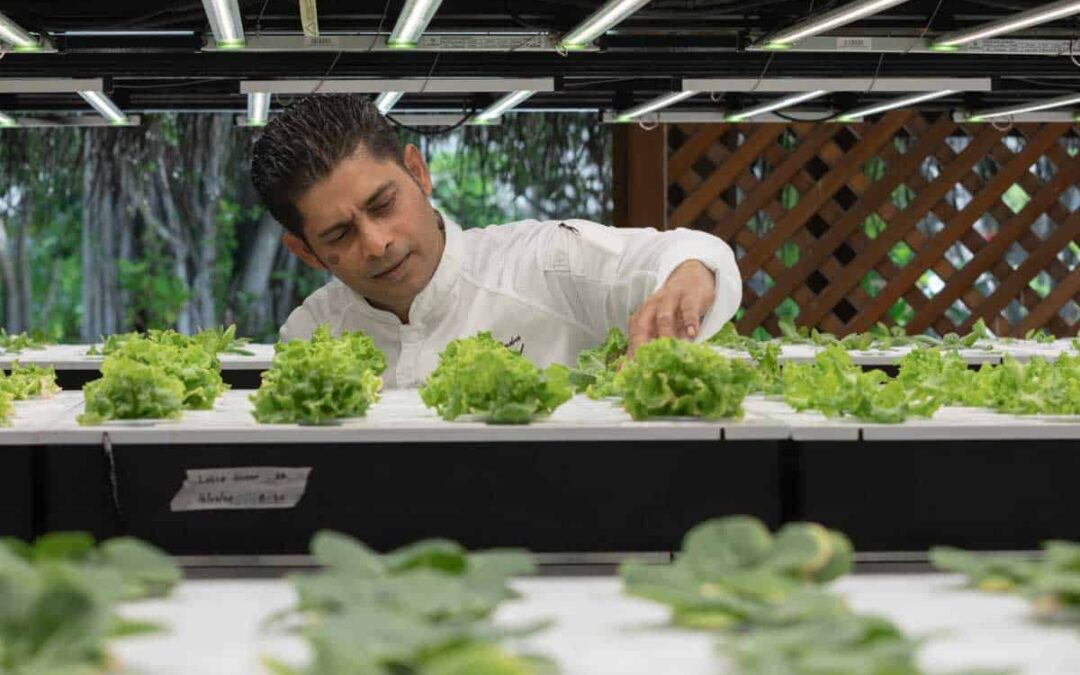 Sustainable luxury in the Maldives