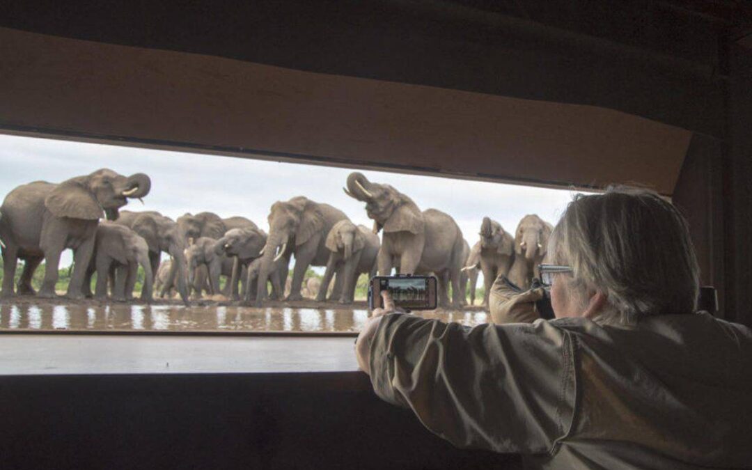 Africa&rsquo;s fabulous photo hides and hotspots