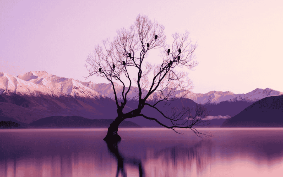 Slow luxury travel: New Zealand&rsquo;s photography destinations