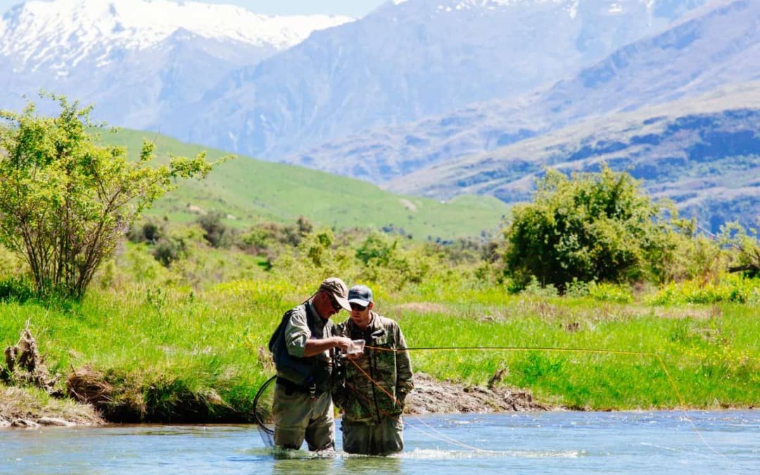Spring in New Zealand&rsquo;s South Island