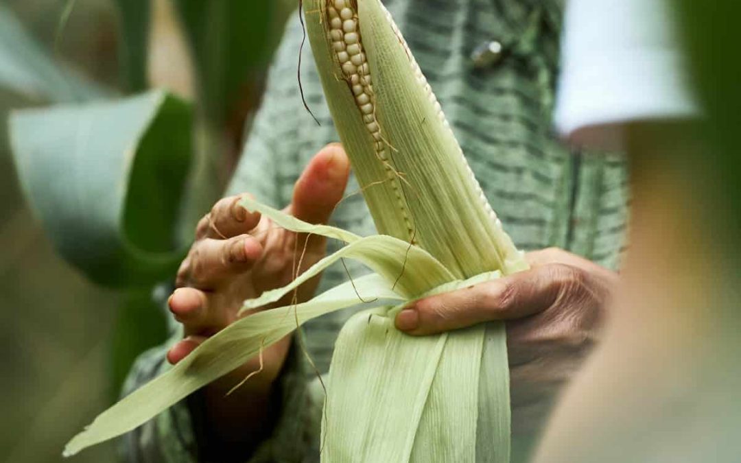 Finding the feel good factor in Saigon