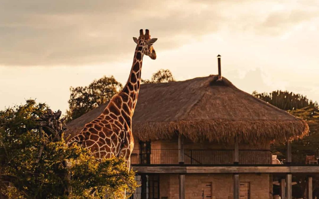 Top 5 family friendly stays in Kenya and Tanzania