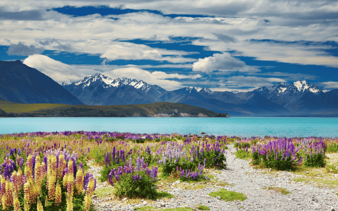 New Zealand as a destination for life’s meaningful moments